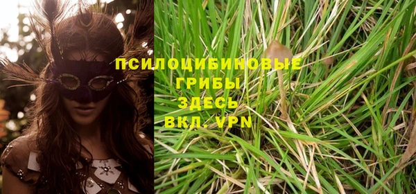 трава Дегтярск