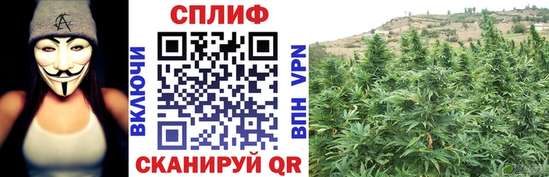 Канабис White Widow  купить наркотики сайты  Кедровый 